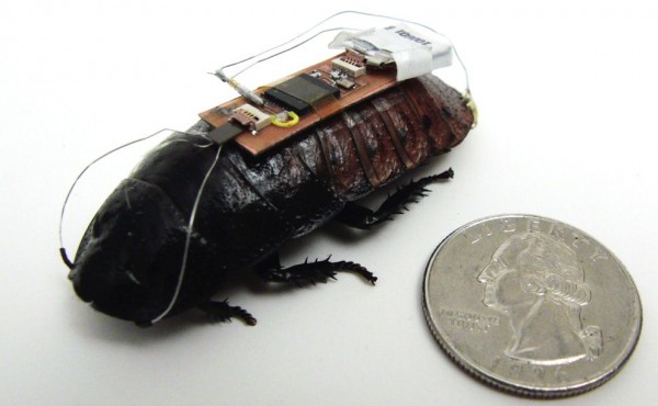 news-remote-controlled-cockroach_59047_990x742